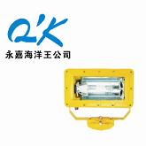  BFC8100 (qing)ⷺ 
P(gun)I: