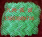 ѻSֲW(wng)|,(wn)߅B(ti),ѻW(wng) 
PI: