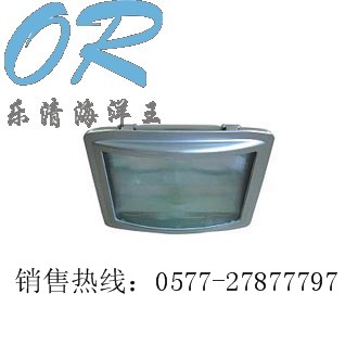(yng)·NSE9720(yng)NSE9720 
P(gun)I: