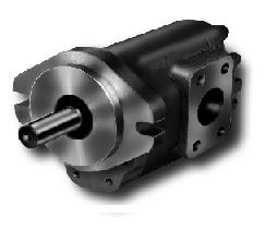 VKSϵX݆.X݆R_ 
P(gun)I:
